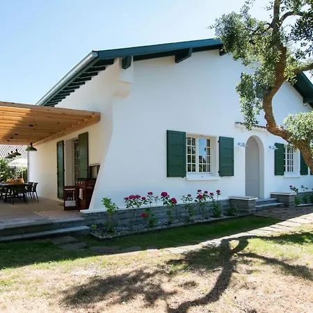 Antine For 13 People, Heated Pool, Within Walking Distance וילה *