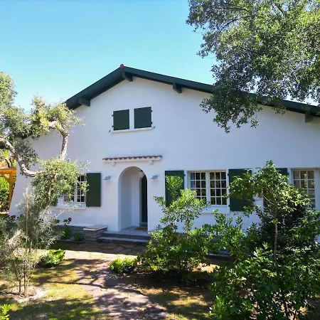 Antine For 13 People, Heated Pool, Within Walking Distance *